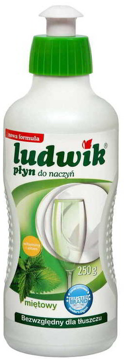 Płyn do naczyń Ludwik Mięta 250g w butelce z zieloną pompką dozującą