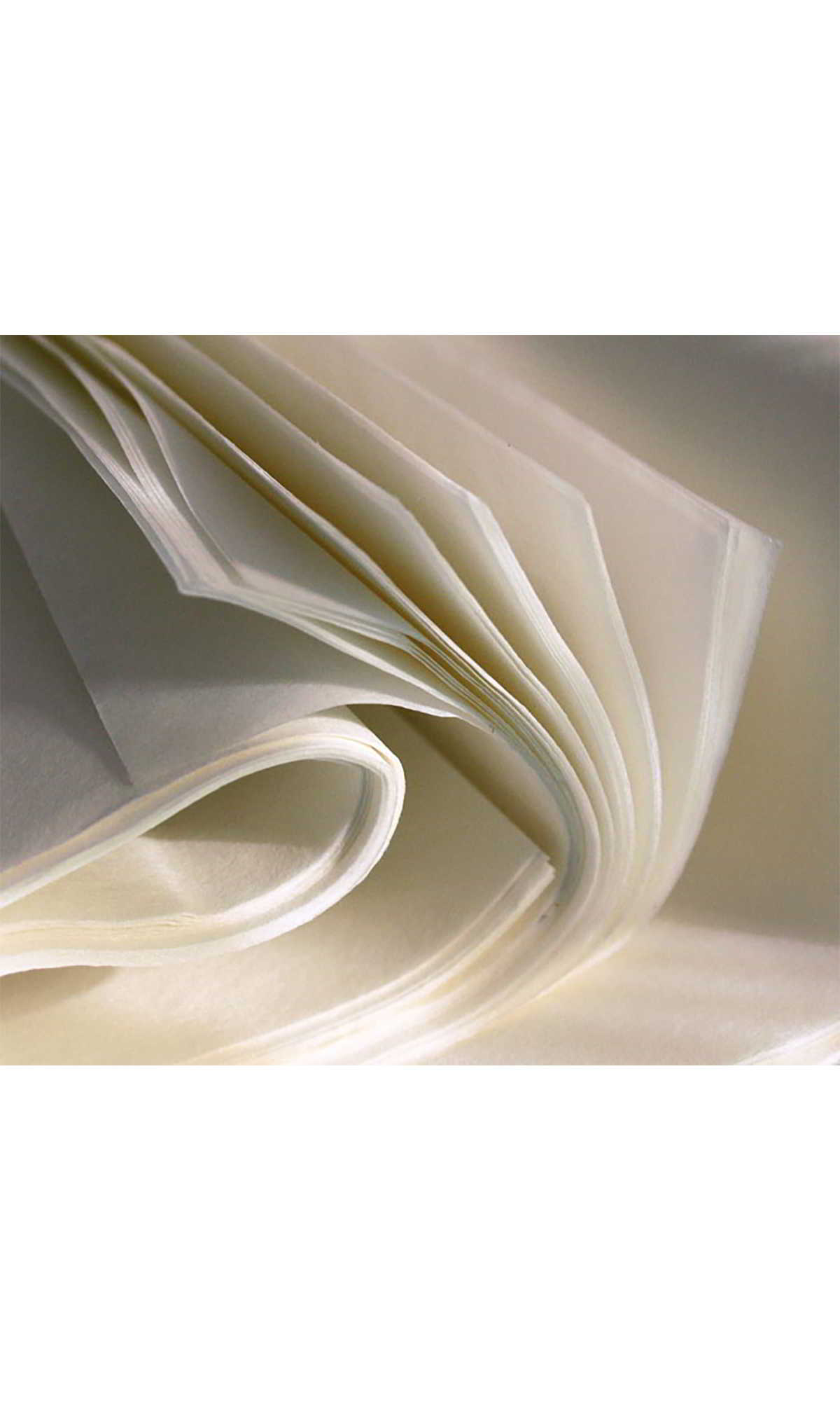 Papier pakowy półpergamin biały 60g 30x30cm w opakowaniu 10kg do pakowania żywności