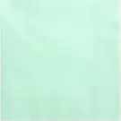 Serwetka kolorowa  33/33  3warst.  20szt Pale Green