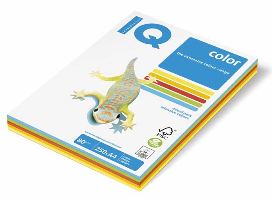 Papier Xero A4 160 GR kolor 250 kart Papier Xero, przeznaczony szczególnie dla użytkowników laserowych drukarek. Gładka powierzchnia. żywe i intensywne barwy. Format: A4, gramatura: 160g. Opakowanie zawiera 250 arkuszy.