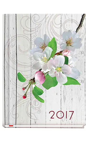 Terminarz Ola
   *w formacie: A6,
   *posiada tasiemkę,
   *układ kalendarium: tydzień na dwóch stronach.
