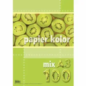 Papier Xero A3  kolor MIX 100 kart