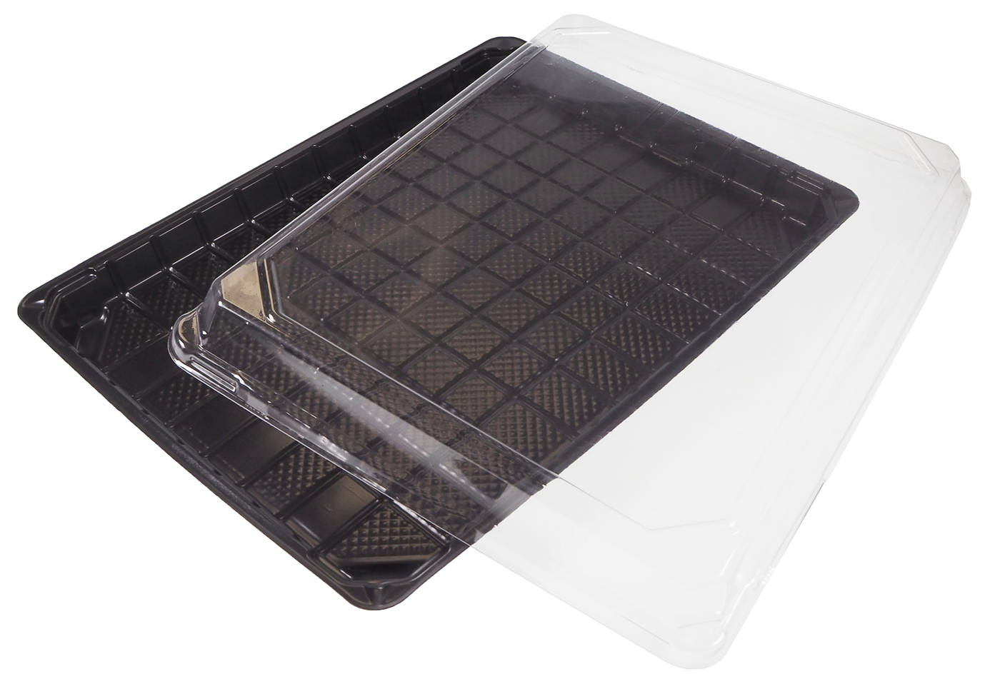 Pojemnik na SUSHI Formipack 303 25szt OPS spód czarny 325/245/20 pokrywa transparentna 333/250/32