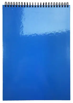 Kołozeszyt A4 80k spirala