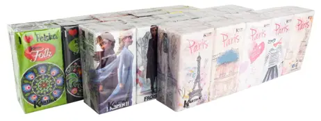 Chusteczki higieniczna  10szt KARTIKA3 warstwowa Nadruk