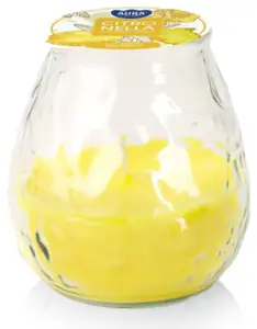 Świeca Ogrodowa CITRONELLA w szkle