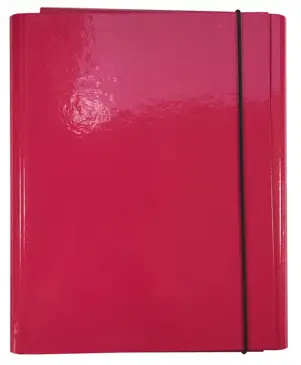 Teczka skrzydłowa pudełko 0,8 cm A4 DS Kreska