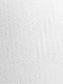 Worki do zamrażarki próżniowego 20x30cm 50 sztuk moletowane przezroczyste