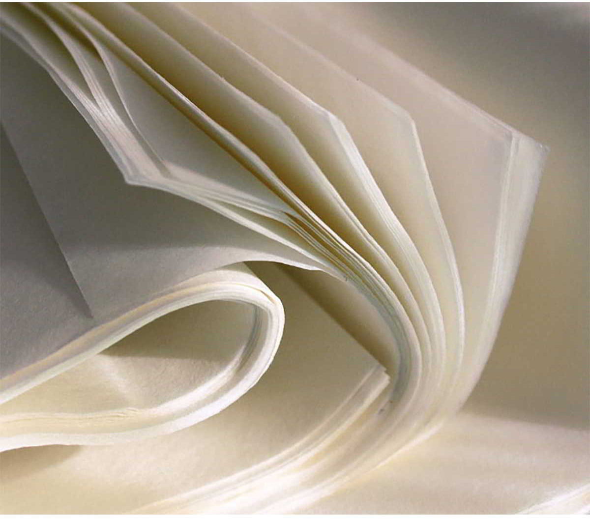Papier pakowy półpergamin foliowany PE biały 50/70cm opakowanie 10kg