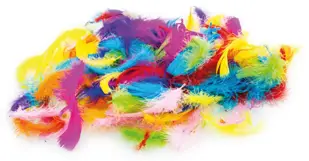 Piórka najwyższej jakości, są doskonałym dodatkiem do wszelkiego rodzaju prac kreatywnych. Idealne do własnoręcznie tworzonych dekoracji, elementów garderoby i wystroju wnętrz, a także do dekorowania pudełek, prezentów. Chętnie używane przy dziecięcej ...