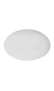 Talerz papierowy 25cm  100szt BIAŁY