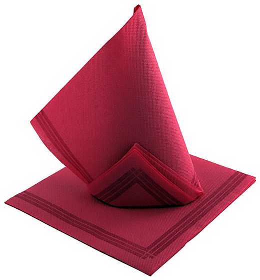 Serwetka restauracyjna 38x38 cm malinowa z paskami, dwuwarstwowa, 50 sztuk marki Tendance.