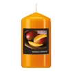 Świeca zapachowa pieńkowa 11 cm mango papaya Flavours pomarańczowa