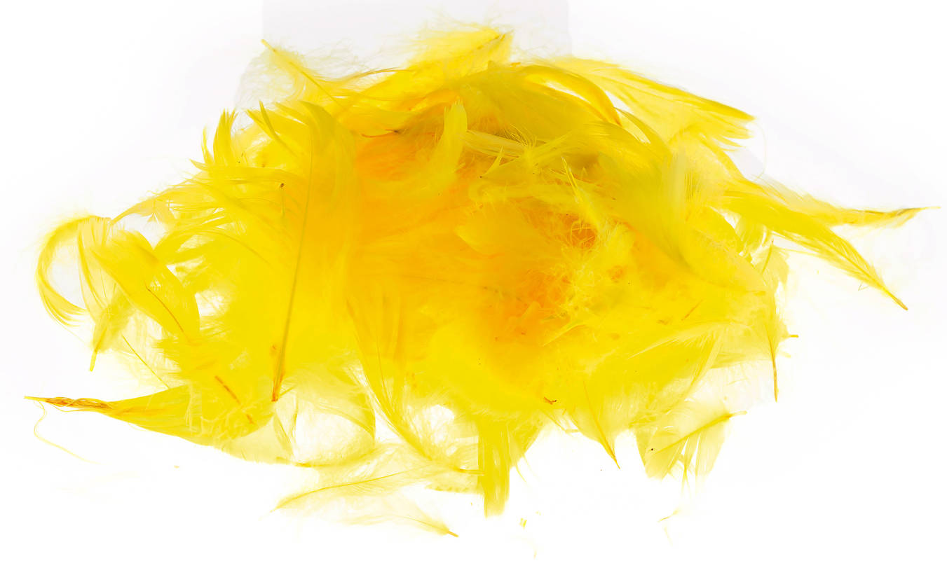 Piórka Małe Żółte 7g P7-3/Pastelowe 3g P3-MIX Piórka najwyższej jakości, są doskonałym dodatkiem do wszelkiego rodzaju prac kreatywnych. Idealne do własnoręcznie tworzonych dekoracji, elementów garderoby i wystroju wnętrz, a także do dekorowania pudełek, prezentów. Chętnie używane przy dziecięcej ...