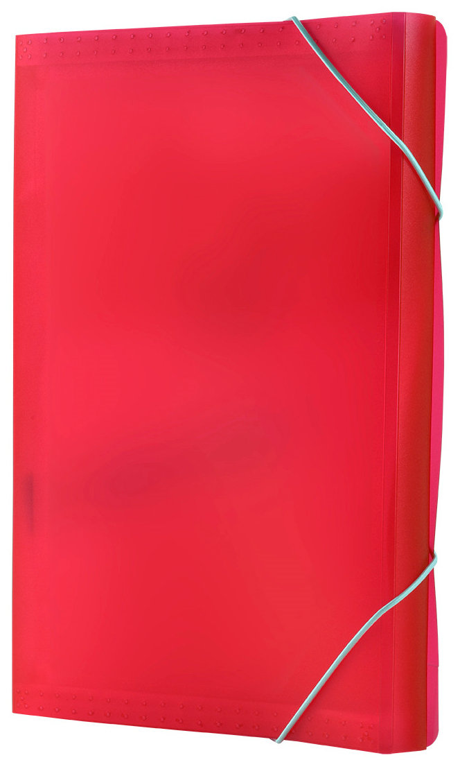 *Teczka harmonijkowa PP z gumką
   *Formatu A4
   *Teczka posiada 13 przegród
   *Wymiary teczki: 330x245x32 mm
   *Grubość tworzywa PP: 0,60 mm
