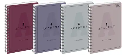 Kołozeszyt B5 100 kart. AKADEMYInterdruk