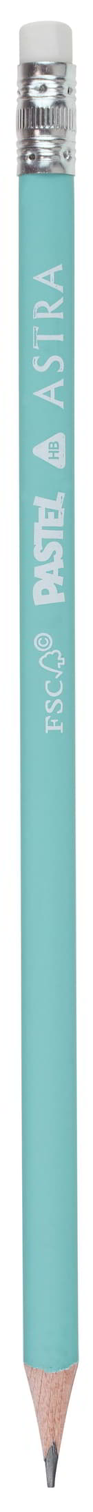 Drewniany pastelowy ołówek grafitowy z gumką posiada trójkątny przekrój, prawidłowo kształtujący ukłąd dłoni. Lakierowana oprawa z czarnego drewna wygląda niezwykle atrakcyjnie. Ołówek o twardości: B.

