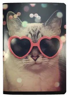 Zeszyt A5 32kart. KrataSDM