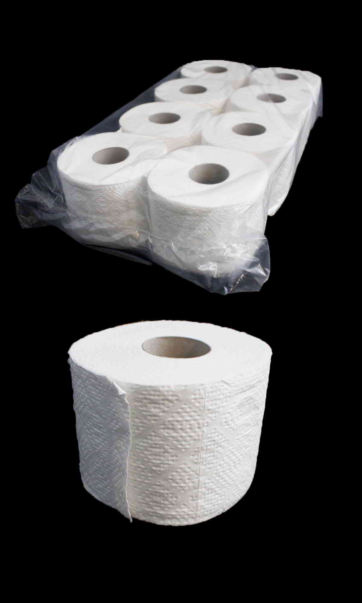 Papier toaletowy HORECA COMFORT+ 24 rolki 2-warstwowy w opakowaniu, widok opakowania i pojedynczej rolki