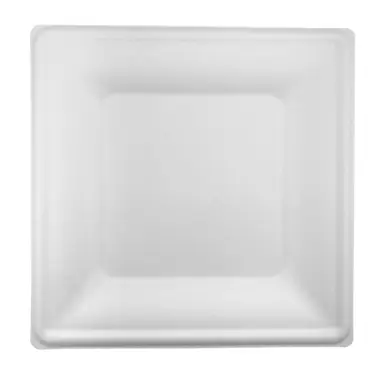 Talerz z trzciny cukrowej Kwadrat 25/25